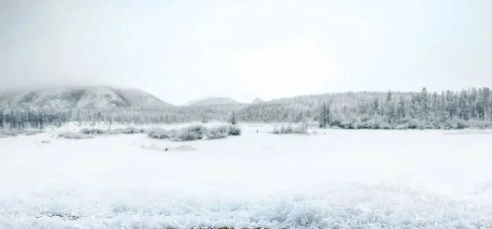 1619081000396706.jpg 微信图片_20210422164252.jpg